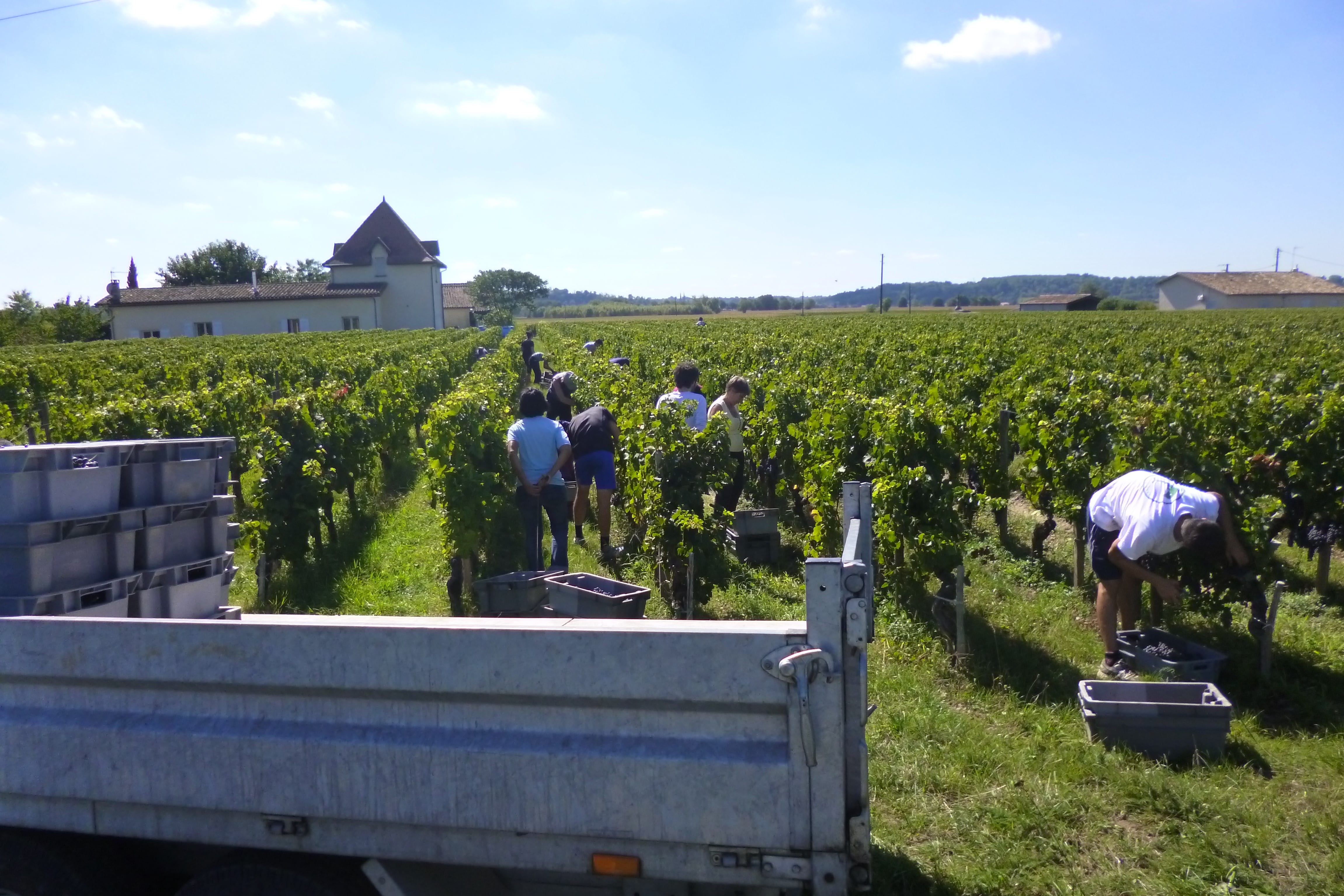 Vendanges 2018